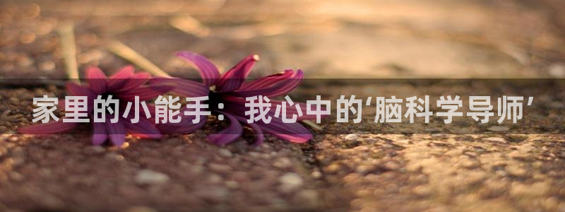 漫蛙漫画3：家里的小能手：我心中的‘脑科学导师’