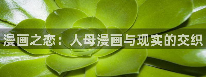 漫蛙漫画最新链接：漫画之恋：人母漫画与现实的交织